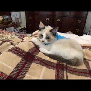 Meet your Posher, Linda